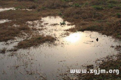 梦见被涨水挡住了回家的路