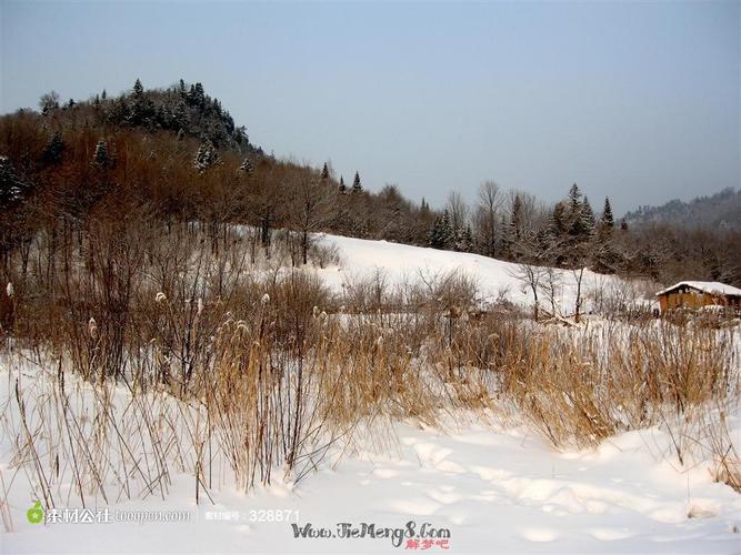 梦见上山是什么意思,梦见很多大山什么意思