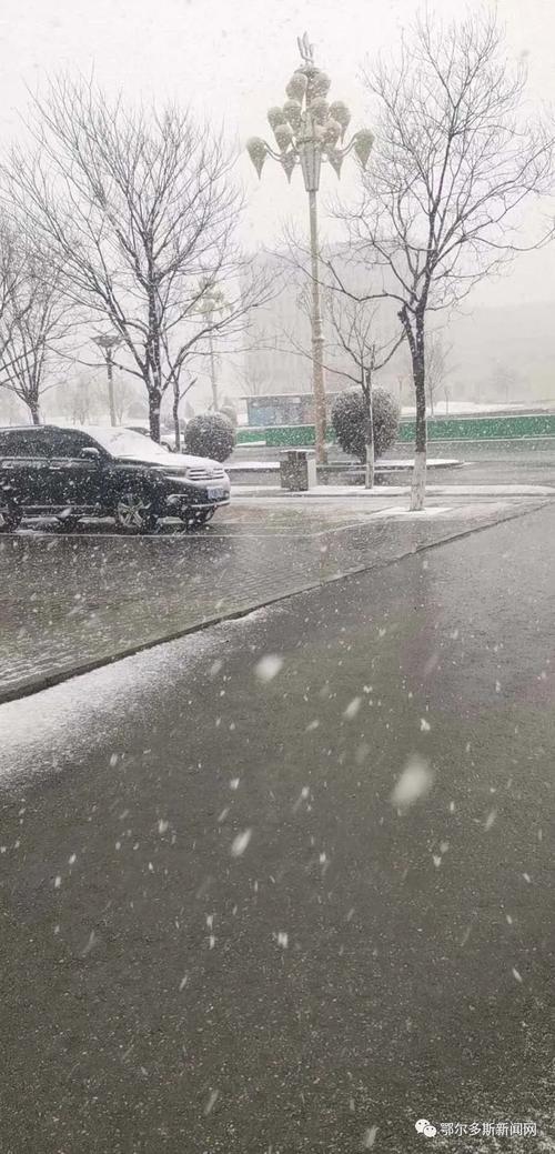 做梦梦到下雪了是什么预兆