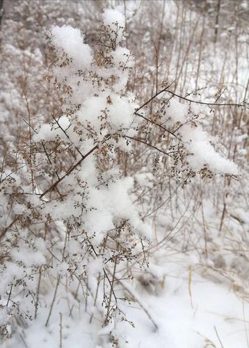 女人梦见下大雪是什么预兆周公解梦