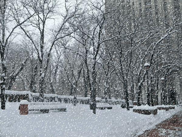 梦见下大雪地上的雪很厚