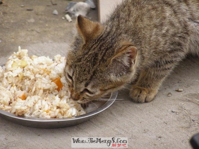 梦见好多人来家里吃饭是什么意思