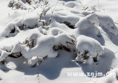 男人梦见下雪是什么征兆