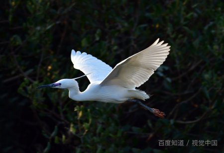 梦见逃跑后面有人追,梦见和妹妹一起逃跑后面有人追图3