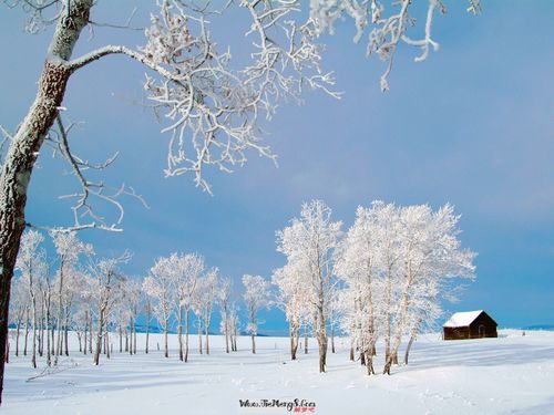 梦见下大雪是什么意思