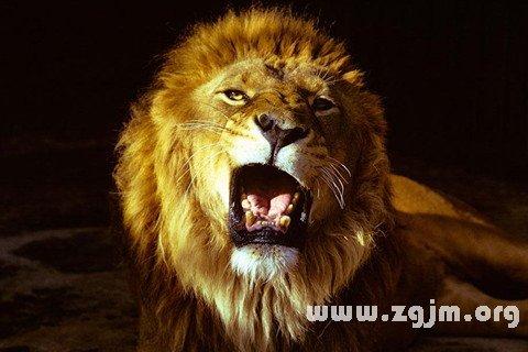 梦到老虎狮子是什么意思