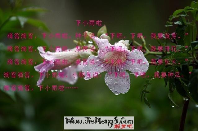 做梦梦见下雨是什么兆头