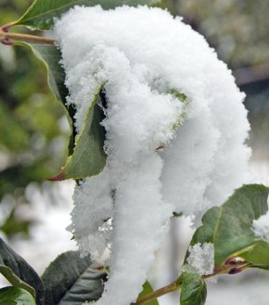 梦见扫雪是什么征兆,梦见下雪扫雪是什么意思