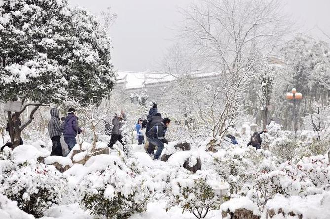 梦见和别人打雪仗是什么意思