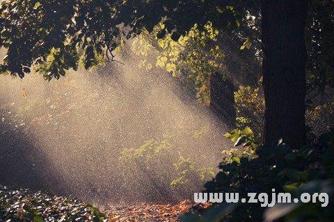 梦见漏雨淋湿床上被子自己确打着伞