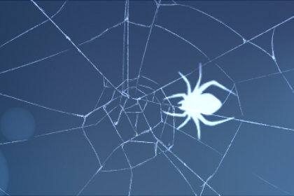 梦见大蜘蛛网是什么预兆,梦见蜘蛛网缠身是什么意思网在头上图2