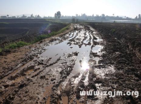 梦见下雨道路泥泞有什么预兆是什么意思呢