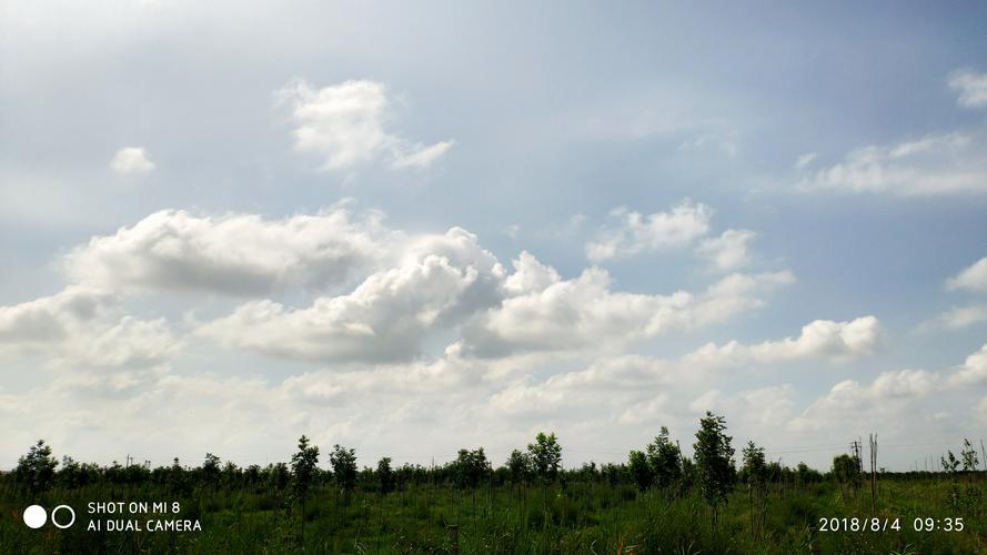 梦见躺在草地上看天空