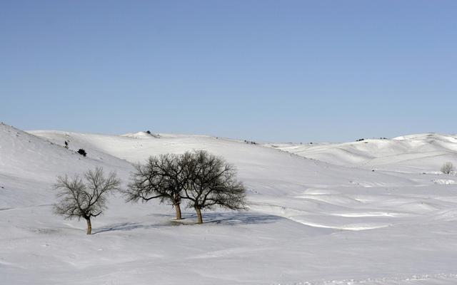 梦见冰天雪地白茫茫一片