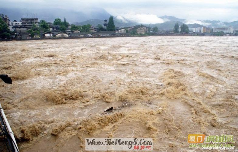 梦见洪水来了往高处跑是什么意思?有人淹死了