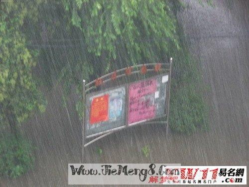 梦见刮风大雨雷劈大树围墙倒塌了