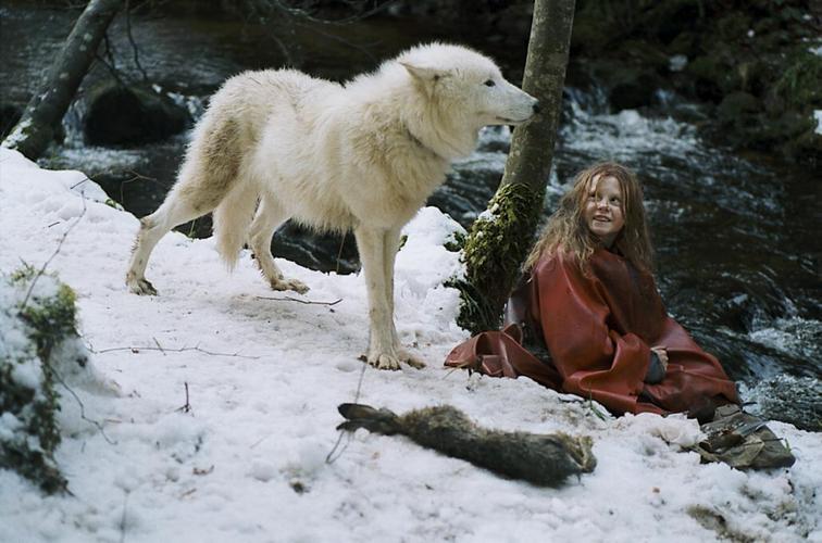 关于狼的电影一个小伙子在雪地里救了一只狼养大了狗