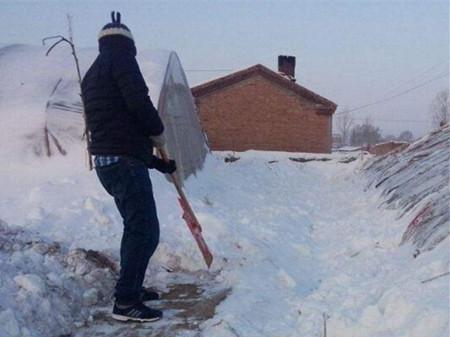 梦见别人铲雪预示着什么意思