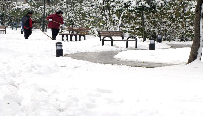 昨晚梦到道路积雪了