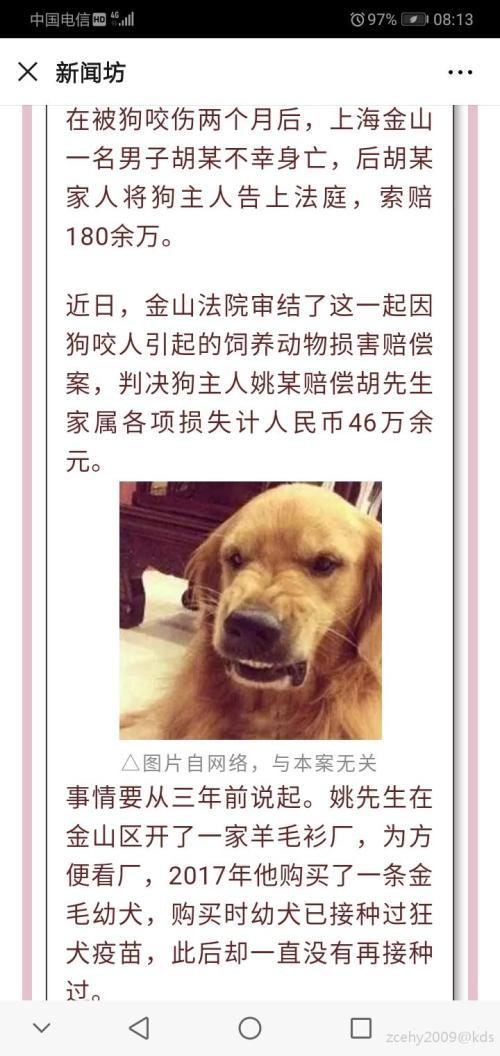 在路上狗会追着你咬,这说明什么