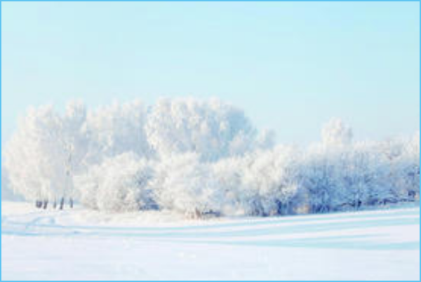 梦见雪地是什么征兆,梦见下雪是什么寓意图5