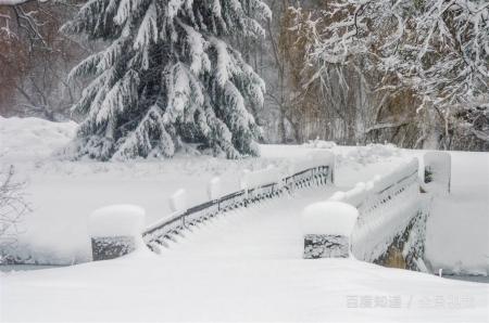 梦见雪是什么意思,梦见下雪是什么意思图3