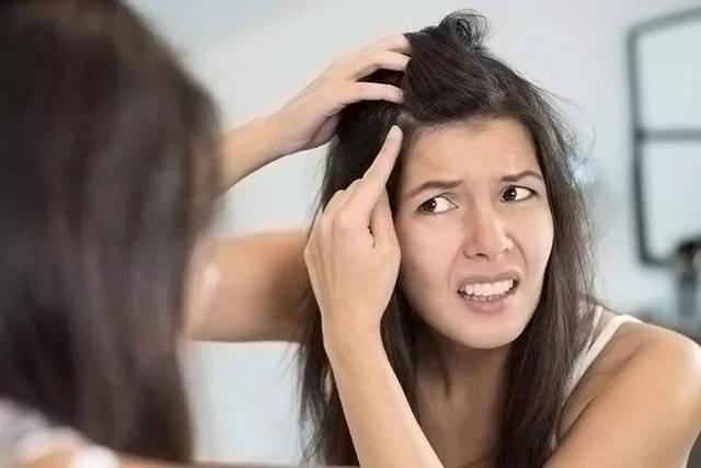 女人总掉头发是什么原因引起的