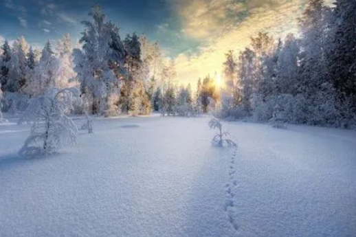 梦见雪景是什么征兆,女人梦见白茫茫的雪景一点也不冷图5