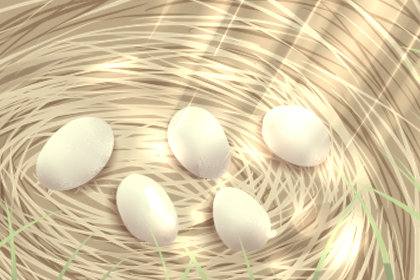 梦见鸡蛋里孵出小鸡仔什么意思呢,梦到鸡蛋里面有死小鸡图3