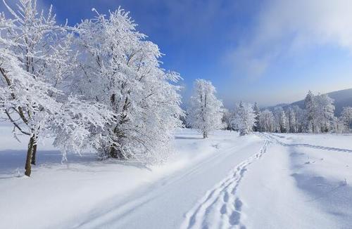 梦见大雪满地很厚