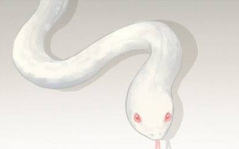 女人早上梦见蛇,女人天亮了梦见蛇是什么意思