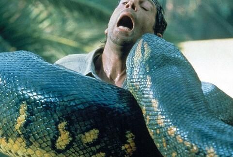 梦见蟒蛇吃人是什么预兆