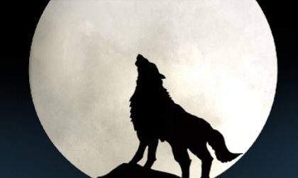 梦见狼群围攻与狼打斗,梦见狼群是什么预兆周公解梦图3