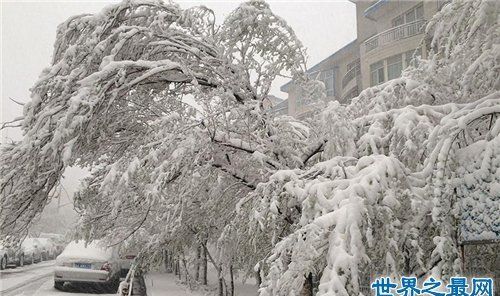 梦到下大雪是什么预兆女性