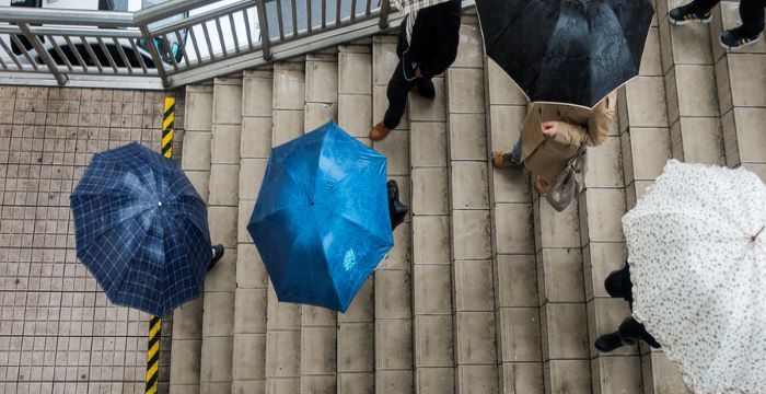 梦见下雨打伞，如懿雪中撑伞是哪一集？图1