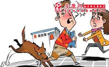 孕妇梦见狗咬是什么意思周公解梦