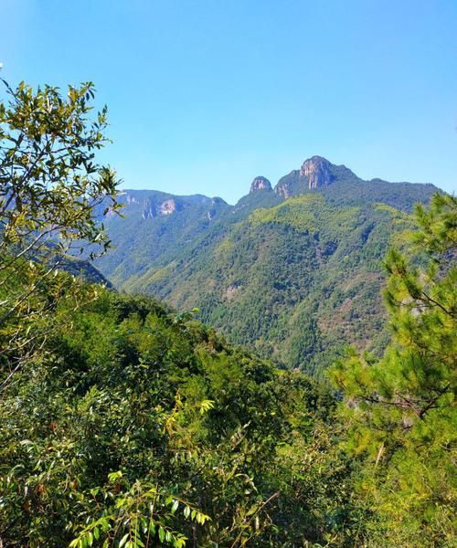 梦见上山下山什么意思