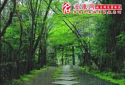 梦见大雨倾盆到处是水房屋漏水