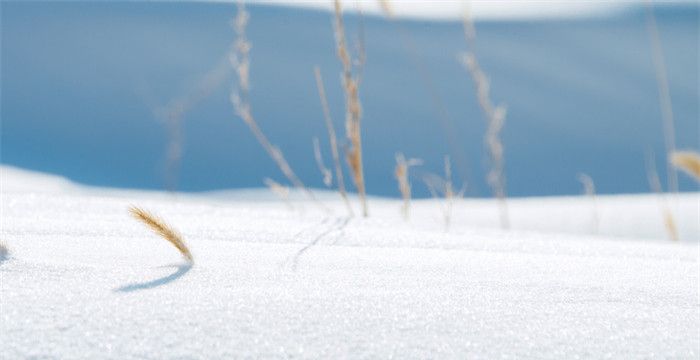 下雪什么意思，梦见下雪就会死人图2