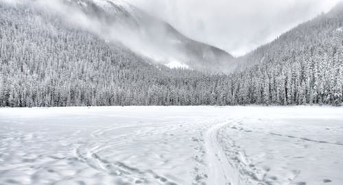 女人梦见下大雪是什么预兆图1