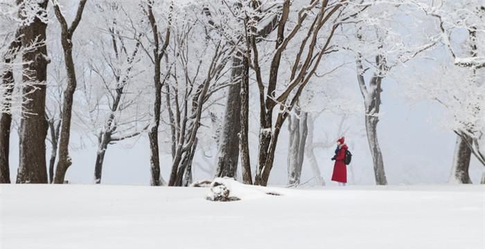 女人梦见大雪纷飞是什么征兆