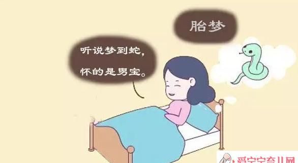 孕妇梦见蛇生儿子吗