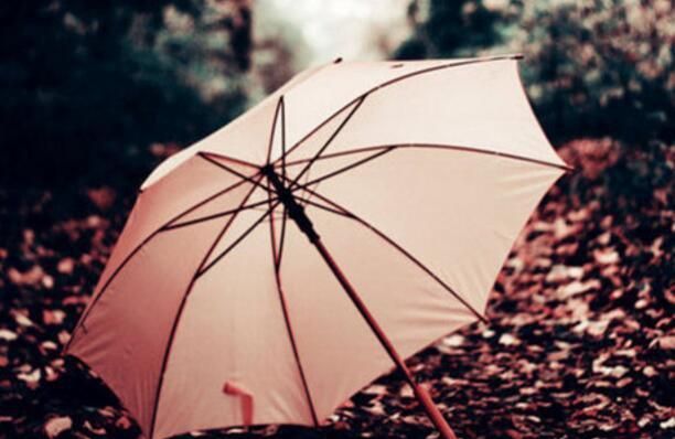 女人梦见雨伞被风雨吹坏了