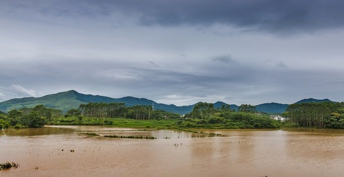 梦见发大水水很浑很黄图2