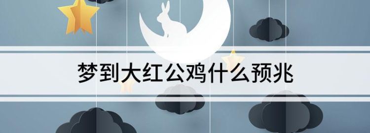 梦见大公鸡和狗周公解梦