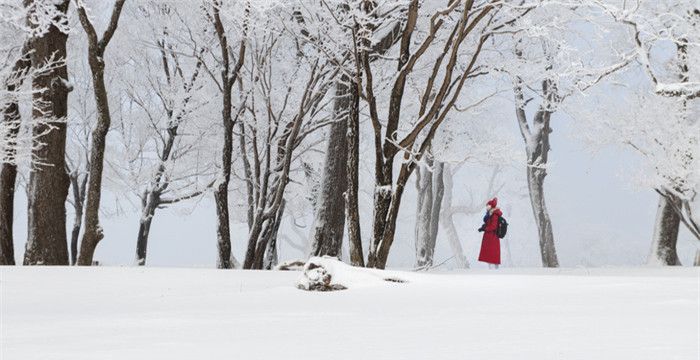 梦见大雪纷飞是什么征兆图1