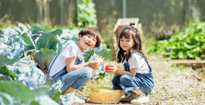 梦见小男孩拉屎图1