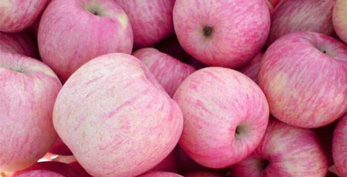 苹果属于什么性水果