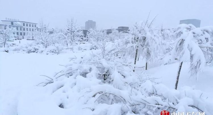 梦见大雪纷飞什么意思