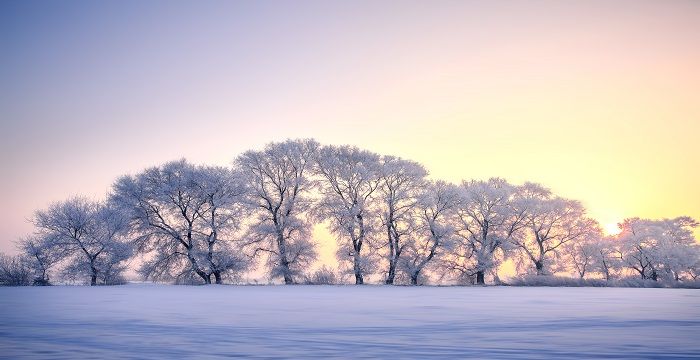 梦见下雪什么意思，生日下雪寓意什么图1